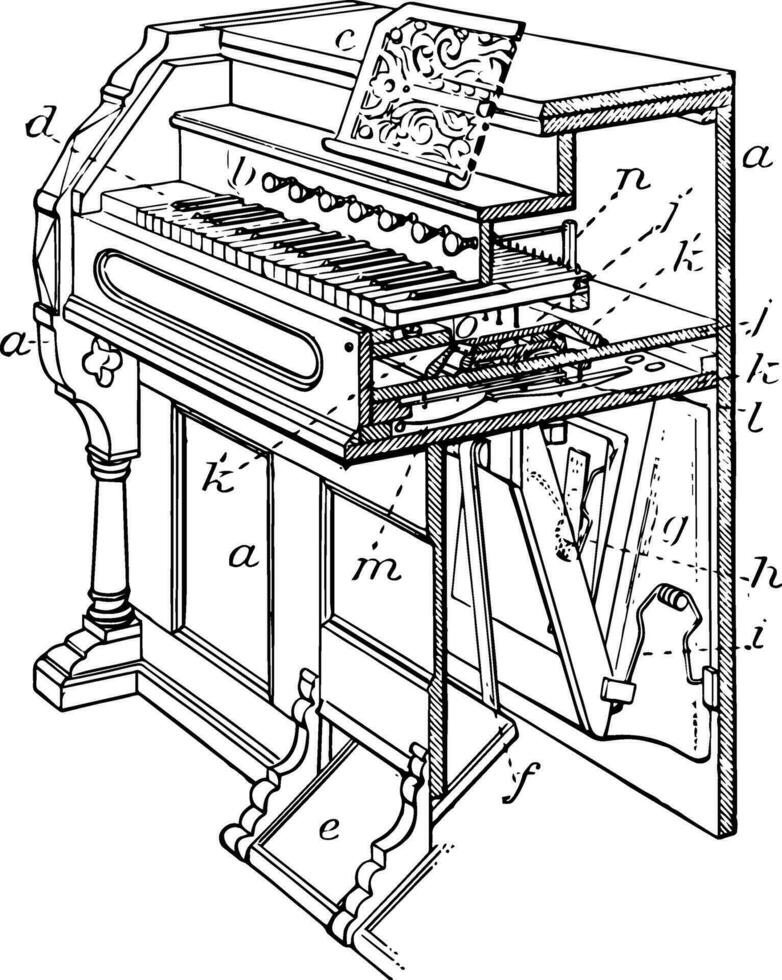 Schilf Organ, Jahrgang Illustration. vektor
