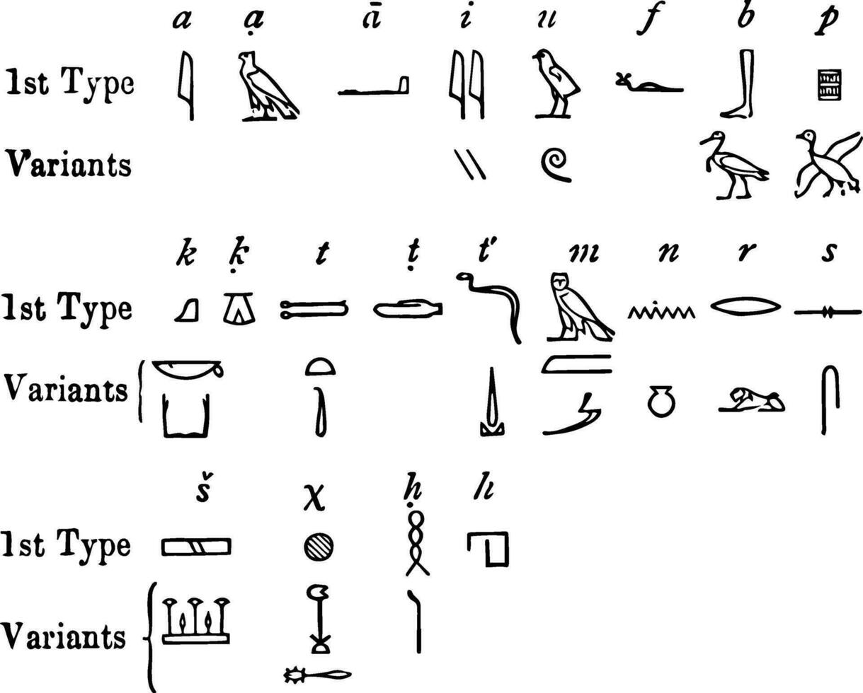 heiroglyfer, årgång illustration. vektor