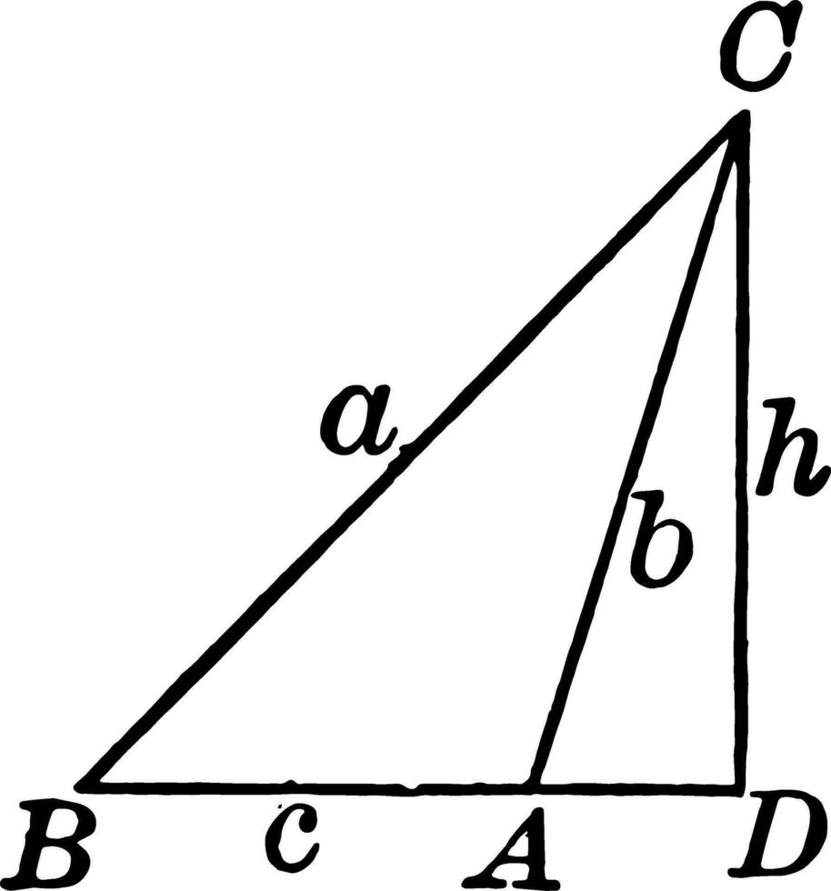 stumpf Dreieck mit Höhe gezeichnet Jahrgang Illustration. vektor
