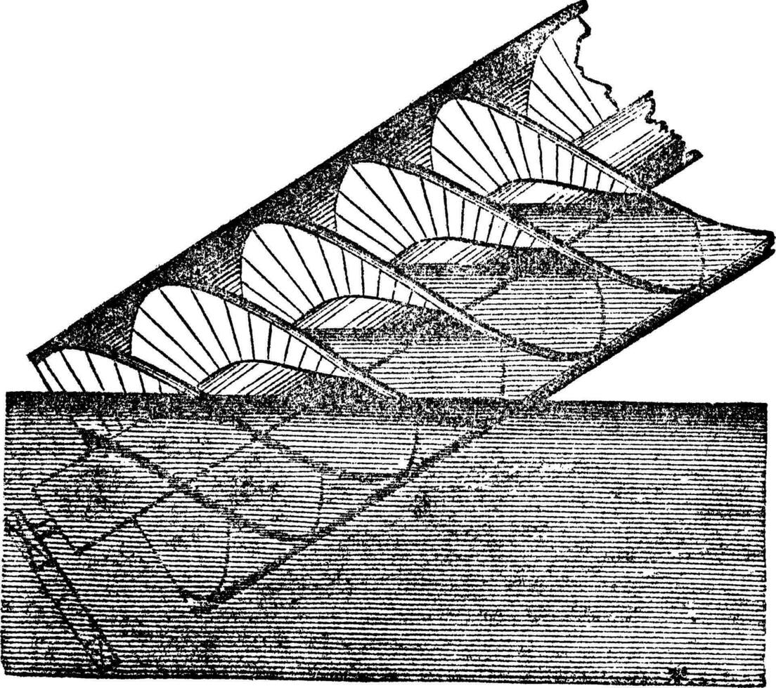 arkimedes skruva eller arkimediska skruva, årgång gravyr. vektor