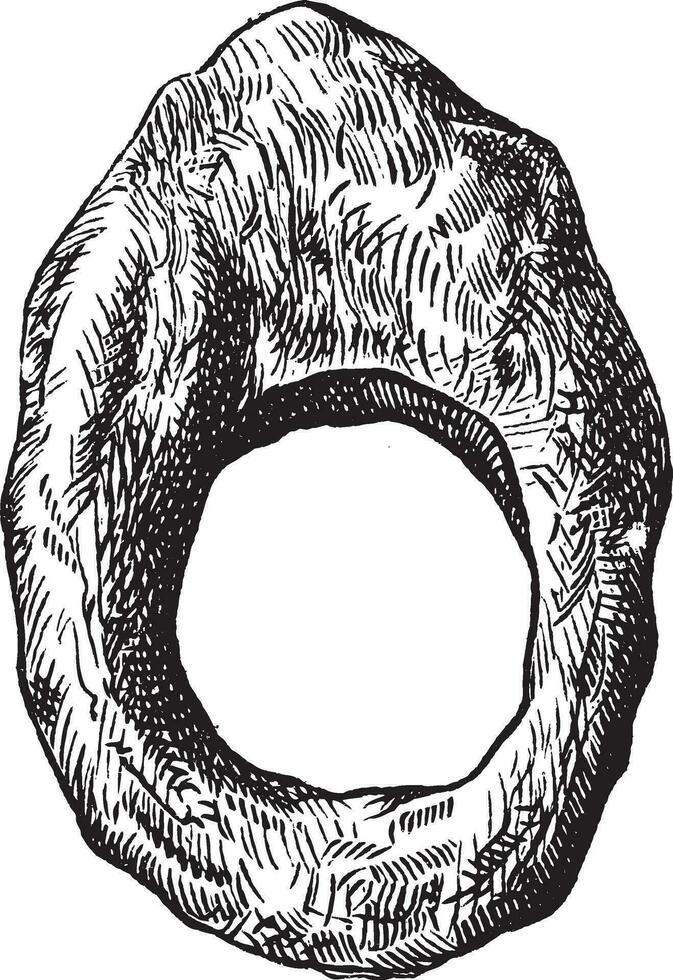 finger ringa av roman period årgång gravyr vektor