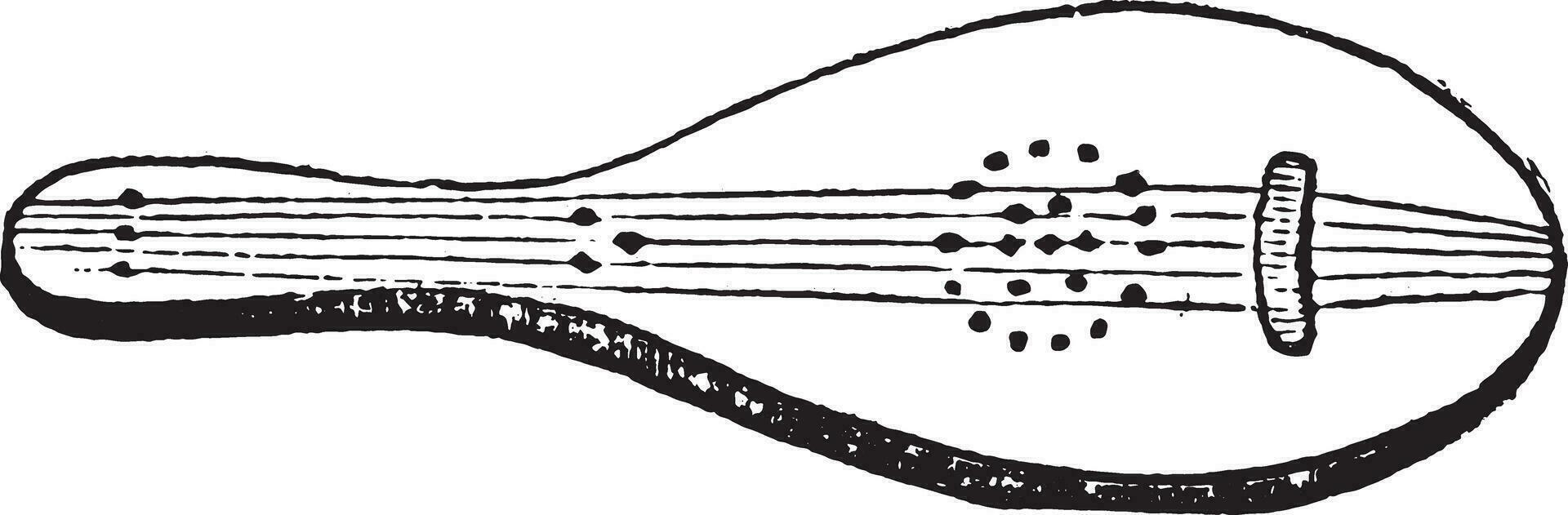 fünfsaitig Laute, dreizehnte Jahrhundert, Jahrgang Gravur. vektor