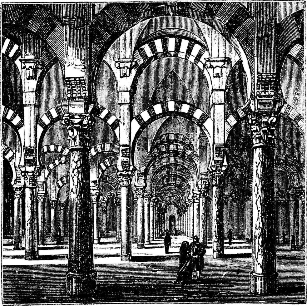 Kathedrale-Moschee von Cordoba im Andalusien, Spanien, Jahrgang Gravur vektor