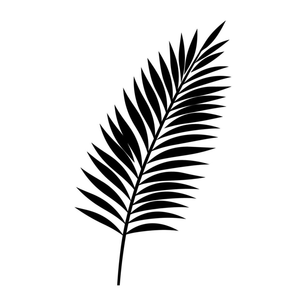 ein Palme Baum Blatt Silhouette Vektor isoliert auf ein Weiß Hintergrund