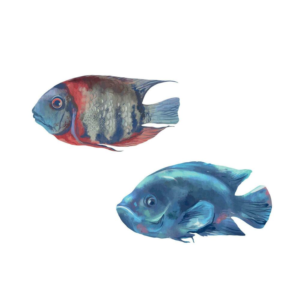 zwei Meer Fisch. Meer Leben. Vektor Illustration im Aquarell Stil. Design Element zum Gruß Karten, Essen Verpackung, Abdeckungen, thematisch Banner und Flyer.