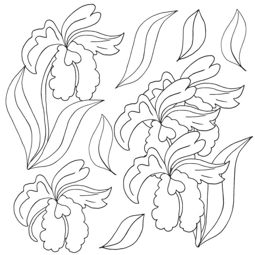 Blumenillustration im Handzeichnungsstil vektor