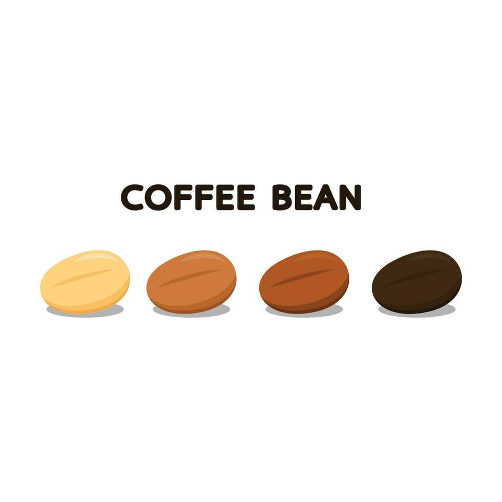 Kaffee Bohnen Vektor. Kaffee Muster Hintergrund vektor