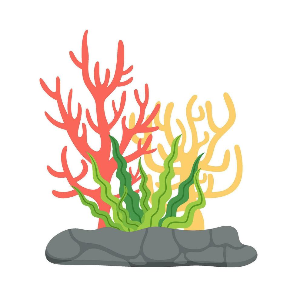 platt illustration av hav korall rev vektor