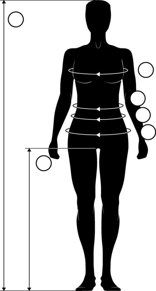 damkläder kläder storlek Diagram vektor diagram