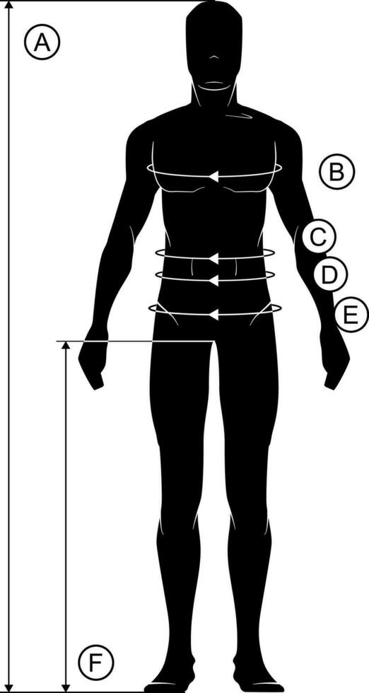 Herrenbekleidung bekleidung Größe Diagramm Vektor Vorlage