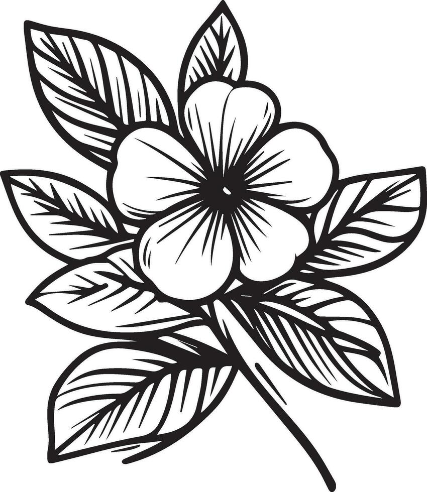 enkel blomma färg sidor, färg sidor för vuxna, hand teckning blomma skiss konst av snäcka, periwimkle blommor färg sidor blomma linje konst vektor illustration