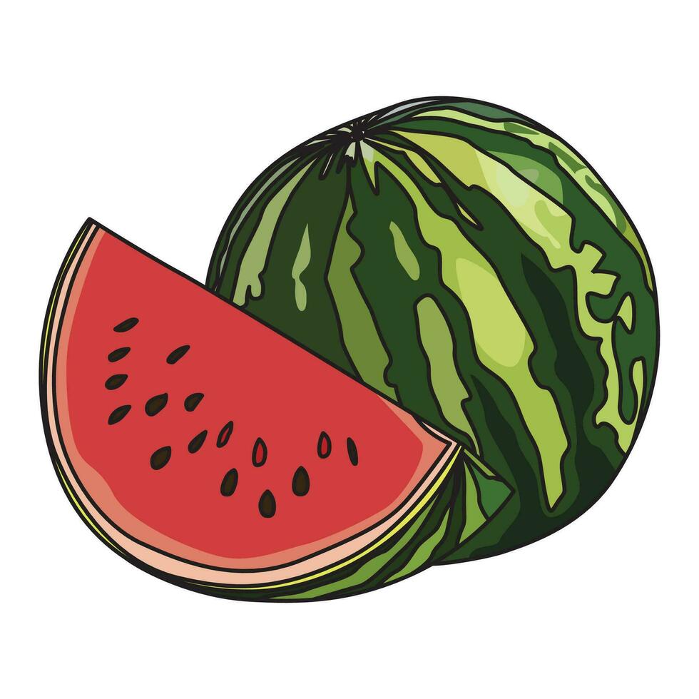 Wassermelone-Vektor-Illustration vektor