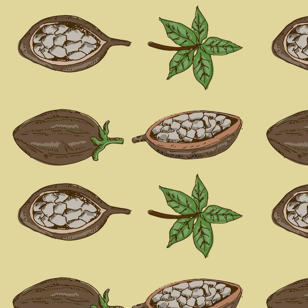 Gekritzel skizzieren von Kakao Bohnen nahtlos Hintergrund vektor