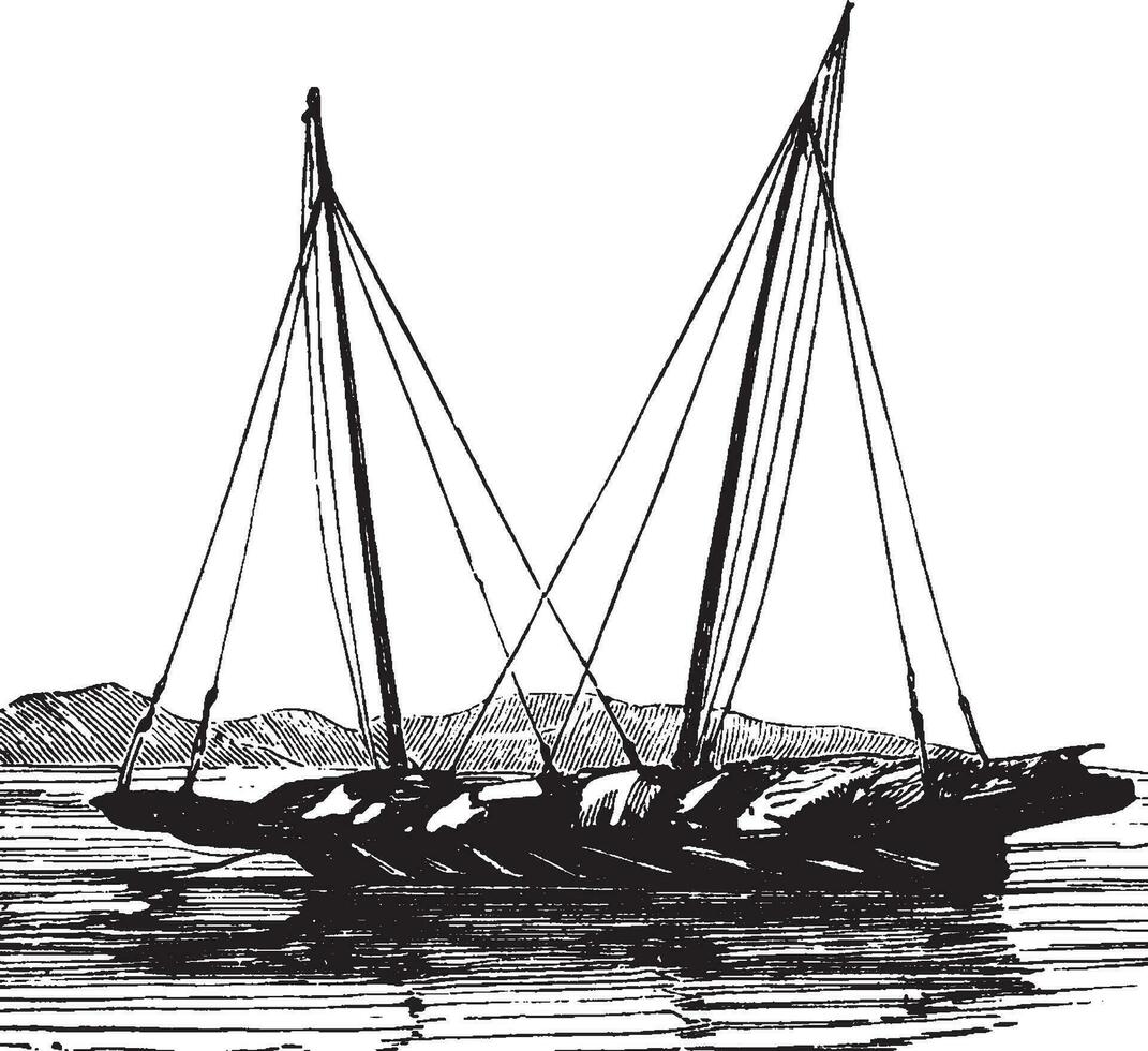 pindjajap, årgång illustration. vektor