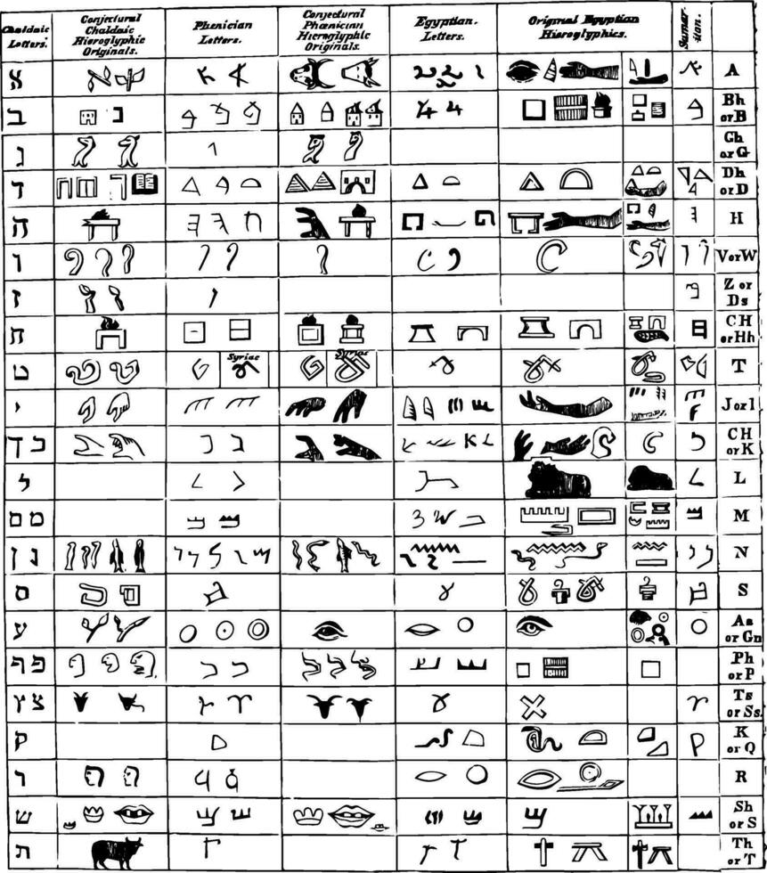 Hieroglyphen vs. uralt Sprache, Jahrgang Illustration. vektor
