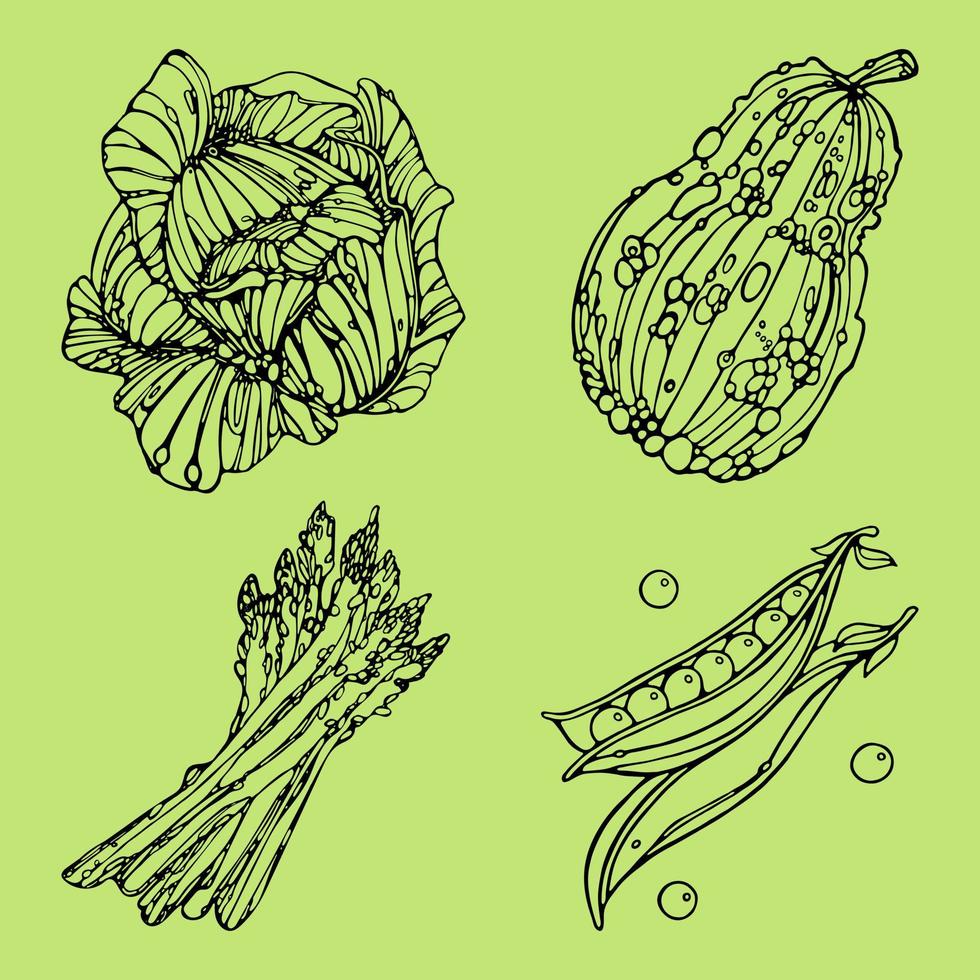 sparris, kål, pumpa, gröna ärtor på grön bakgrund vektor uppsättning. disposition doodle vektor illustration för designmeny, restaurang, butiker, logotyp, tyg, grönsaksaffischer
