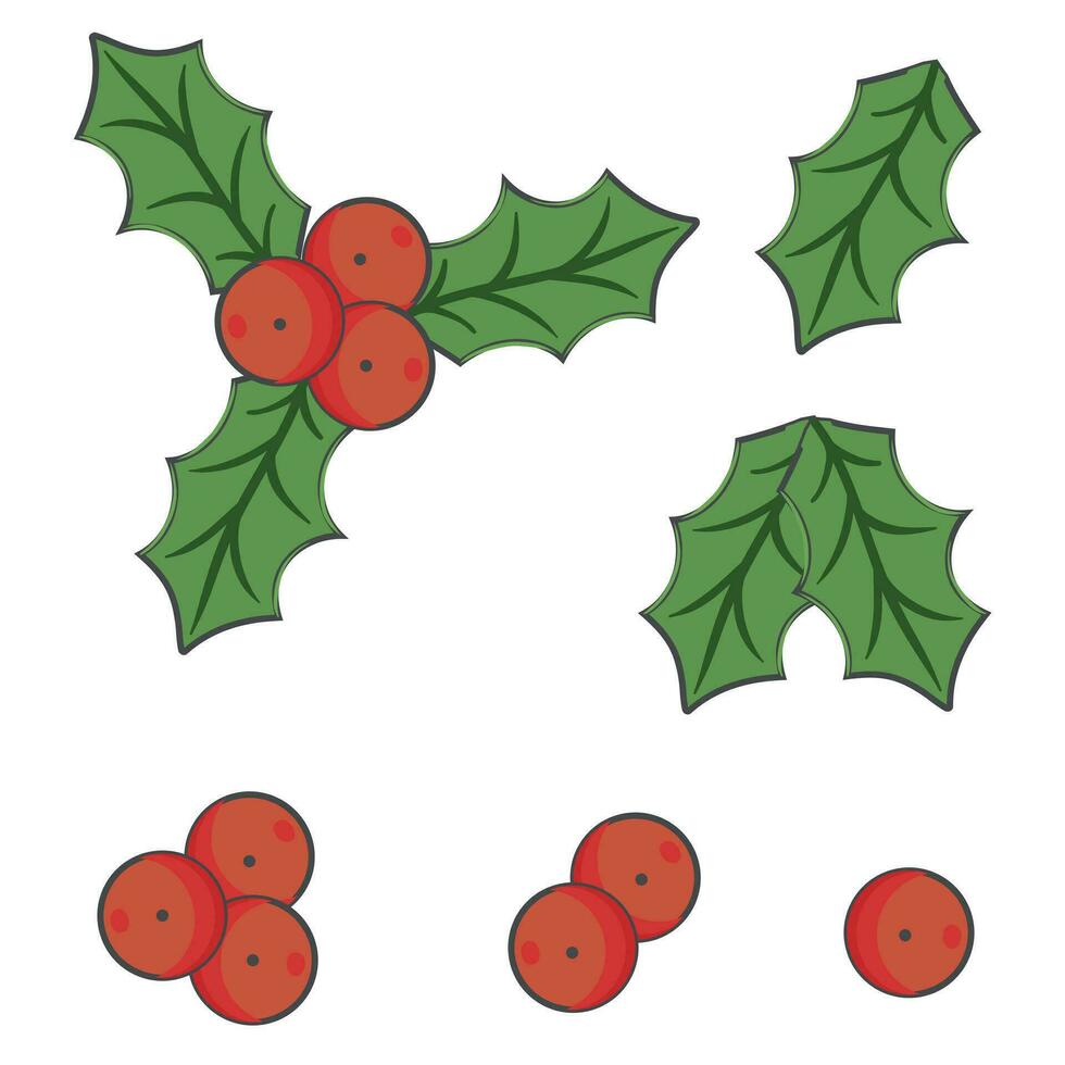 järnek.jul dekorationer, röd bär. realistisk vektor ikon uppsättning.