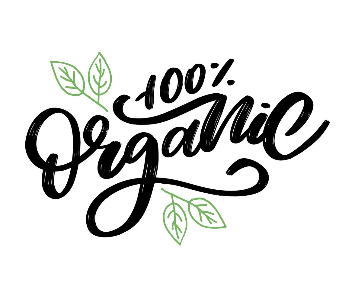 ekologisk penselbokstäver. handritat ord organiskt med gröna blad. etikett, logotyp mall för ekologiska produkter, marknader för hälsosam mat. vektor