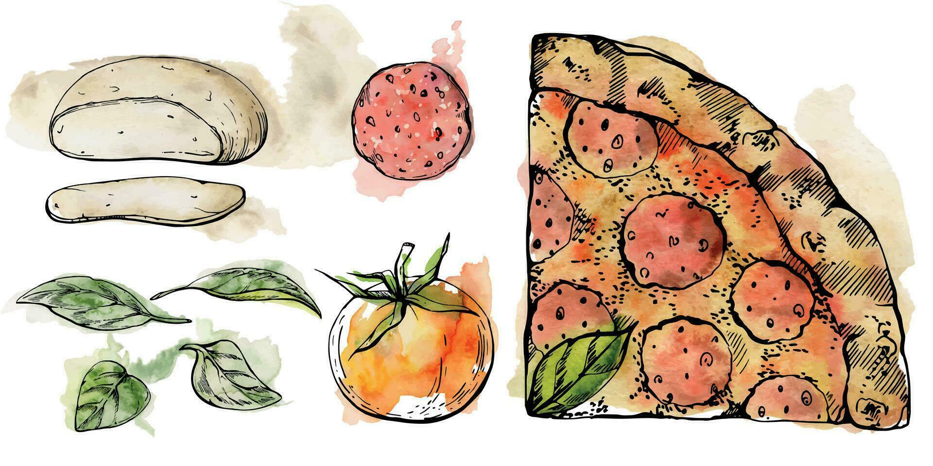 Hand gezeichnet Aquarell Tinte Illustration. Peperoni Pizza Scheibe, Mozzarella Tomate Basilikum, Italienisch Küche. einstellen von Objekte isoliert auf Weiß. Design Restaurant Speisekarte, Cafe, Essen Geschäft Paket, Flyer drucken. vektor