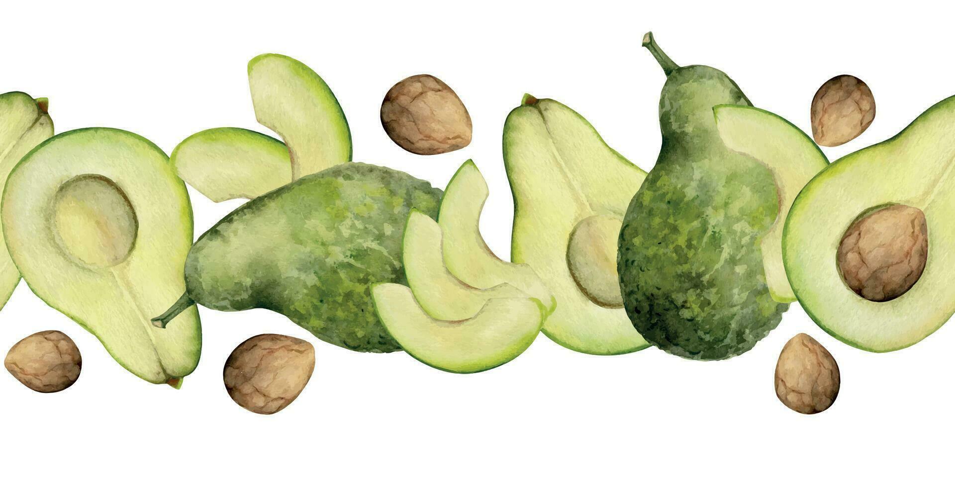 Hand gezeichnet Aquarell geschnitten Grün Avocado Gemüse zum Diät, gesund Lebensstil, vegan Kochen. Illustration nahtlos Rand isoliert auf Weiß Hintergrund. Design Poster, drucken, Webseite, Karte, Speisekarte vektor