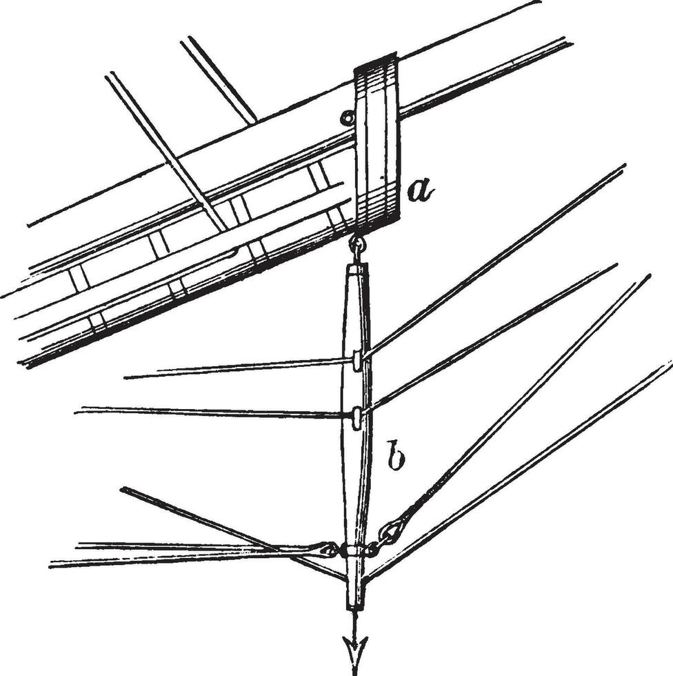 delfin anfallare, årgång illustration. vektor