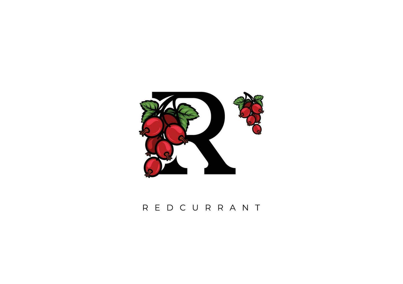 röda vinbär frukt vektor, bra kombination av röda vinbär frukt symbol med brev r vektor