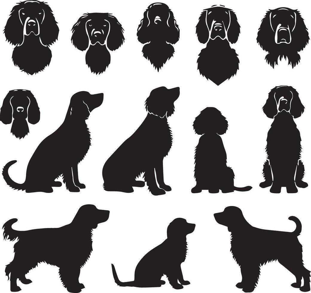 Silhouette solide Vektor Symbol einstellen von Hund, Rassen, Eckzahn, Hündchen, hetzen, Welpe, Köter, Haustier, Hündchen