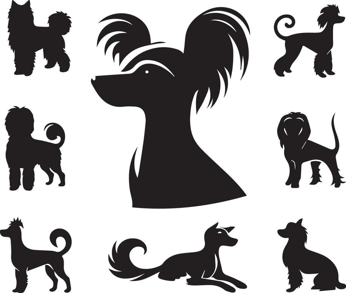 Silhouette solide Vektor Symbol einstellen von Hund, Rassen, Eckzahn, Hündchen, hetzen, Welpe, Köter, Haustier, Hündchen