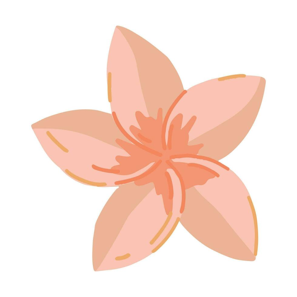 plumeria blomma ClipArt. tropisk blommig klotter. tecknad serie vektor botanik illustration. samtida stil teckning isolerat på vit.