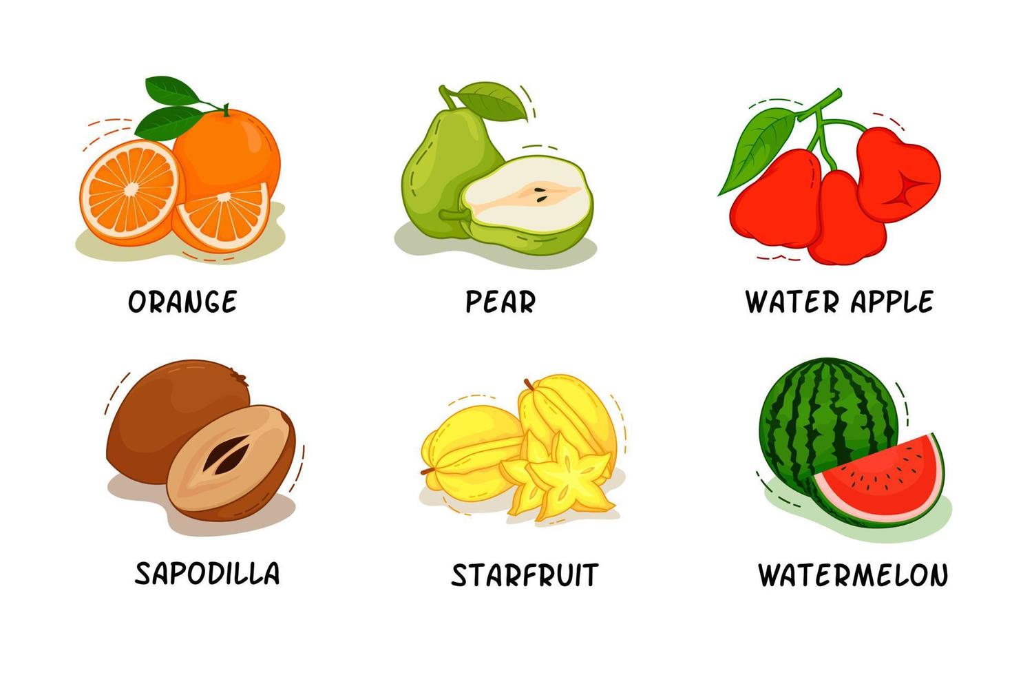 frukter, fruktsamling, apelsin, päron, vattenäpple, sapodilla, sjöfrukt, vattenmelon vektor