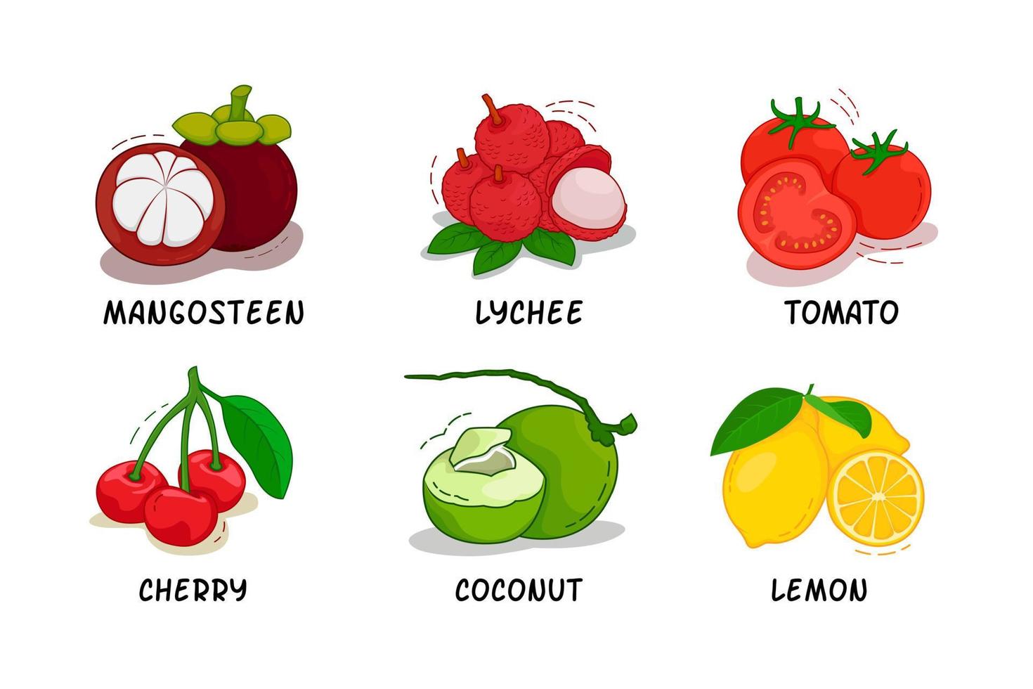 Früchte, Früchtesammlung, Mangostan, Litschi, Tomate, Kirsche, Kokosnuss, Zitrone vektor