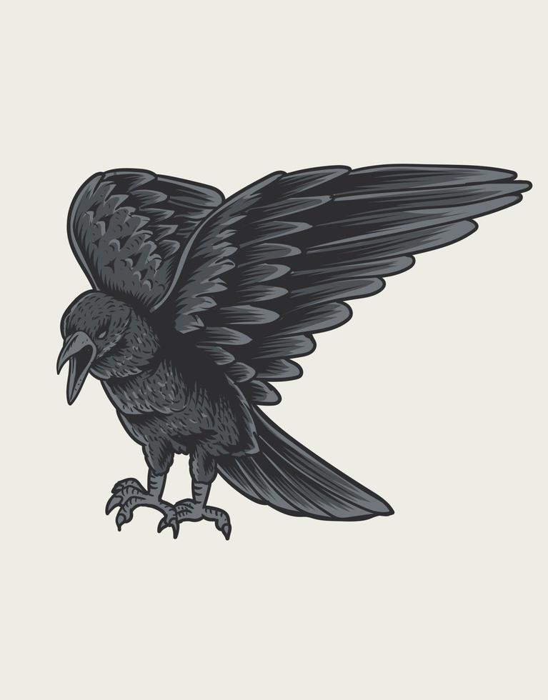 illustration kråka fågel o vit bakgrund vektor