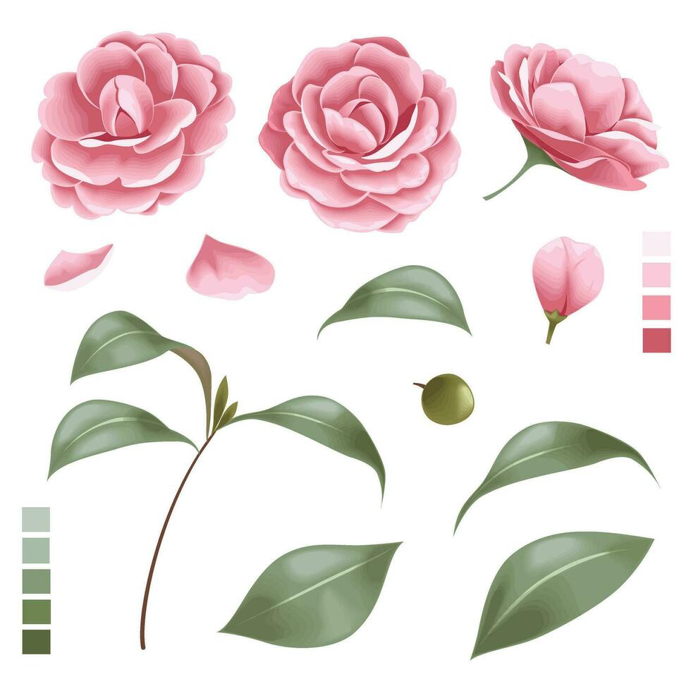 blomma och löv vektor illustration