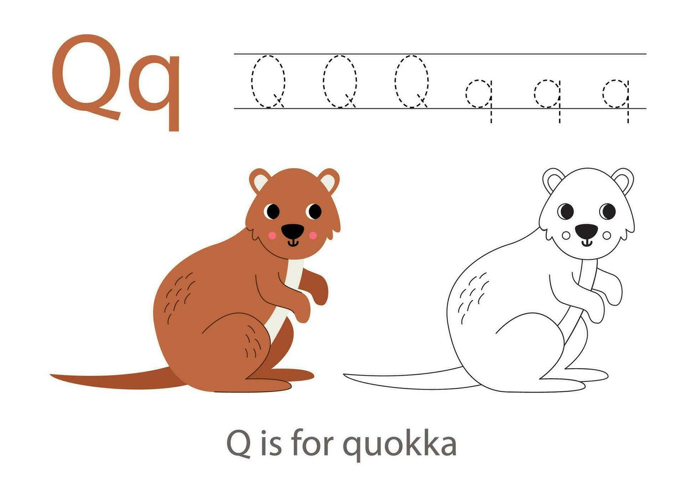 Rückverfolgung Alphabet Briefe mit süß Tiere. Farbe süß quokka. Spur Brief q. vektor