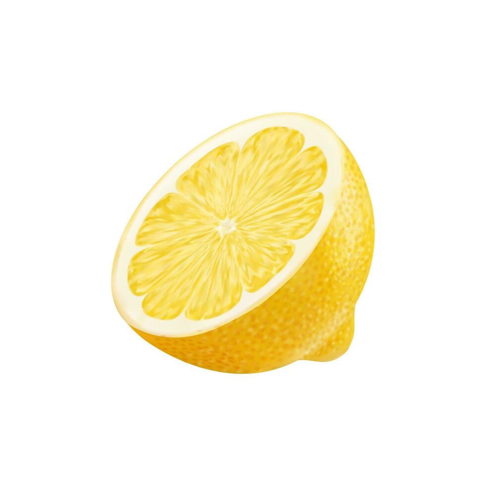 realistisch reif Gelb Zitrone Zitrusfrüchte Obst Hälfte, 3d vektor
