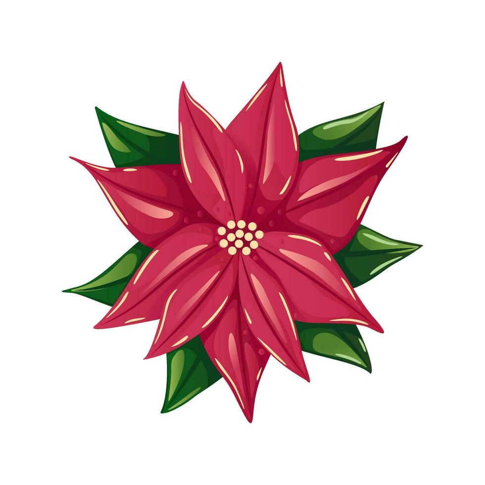 Weihnachtsstern Blume Vektor Illustration, hell rot Weihnachten Blume mit Blätter isoliert auf Weiß Hintergrund. dekorativ detailliert Element zum Urlaub Muster, Kränze, Rahmen, Verpackung, Design