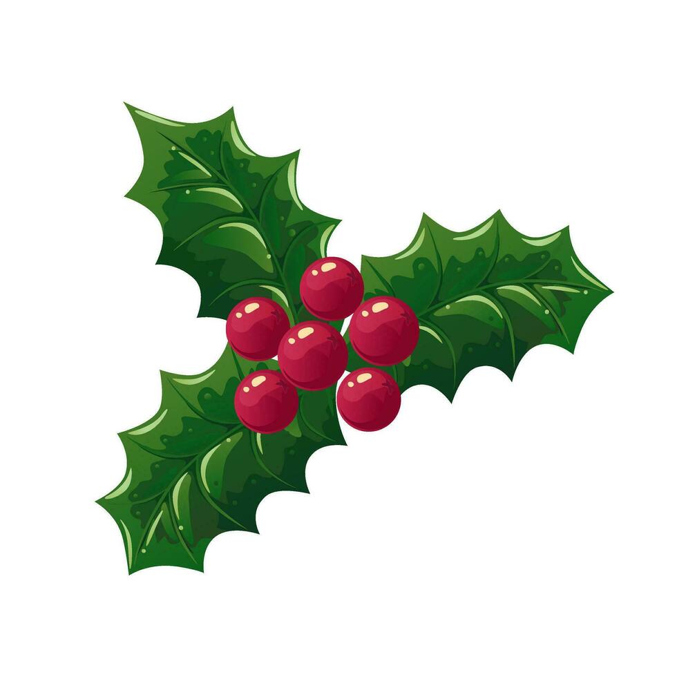 Stechpalme Beeren Ast von rot Weihnachten Beeren mit Blätter. Vektor Illustration isoliert auf Weiß Hintergrund. dekorativ detailliert Element zum Urlaub Muster, Kränze, Rahmen, Verpackung, Designs