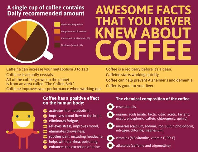 Kaffe Infographic av världen vektor