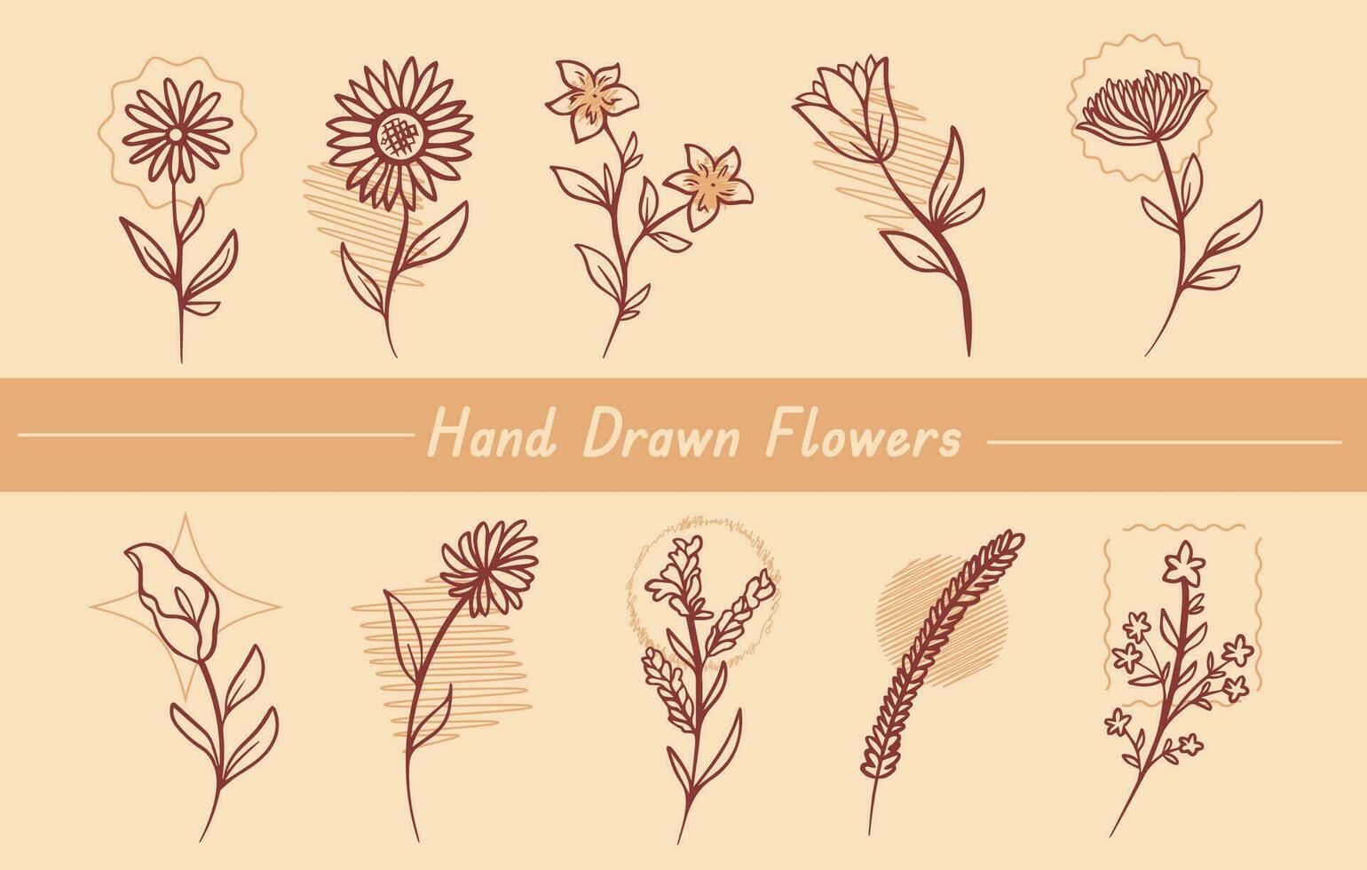 10 form av annorlunda hand dragen blommor med brun färgad översikt klotter vektor illustration uppsättning samling isolerat på horisontell enkel bakgrund. naturlig botanisk flora teckning.