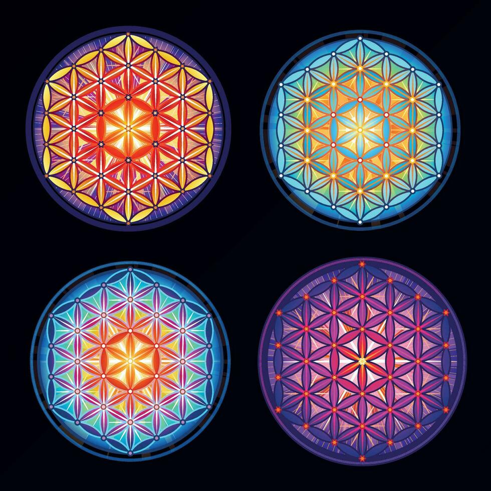 fyra varianter av de blomma av liv tecken. flerfärgad blomma av liv vektor