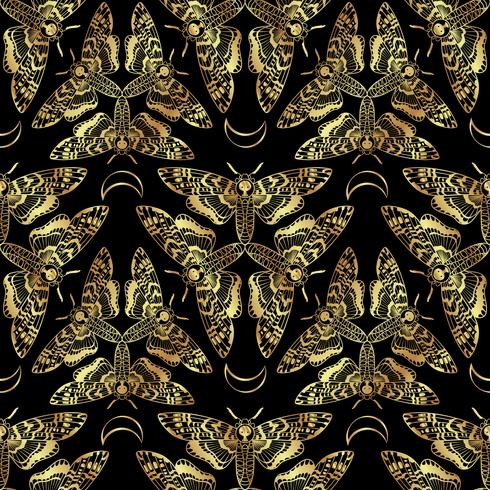 Nahtloses Muster der Schmetterlings-Todeshawk-Motte vektor