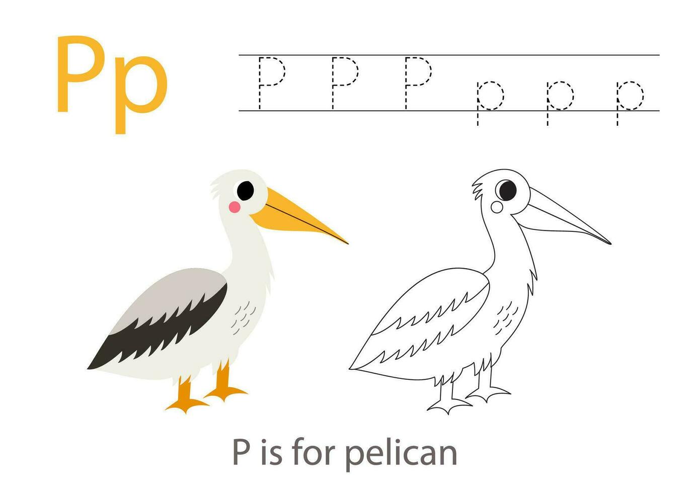 spårande alfabet brev med söt djur. Färg söt pelikan. spår brev sid. vektor