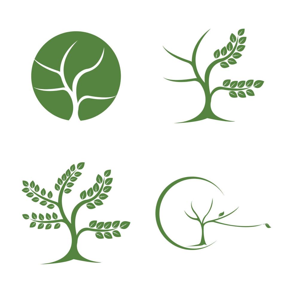 Baum-Logo-Vektor vektor