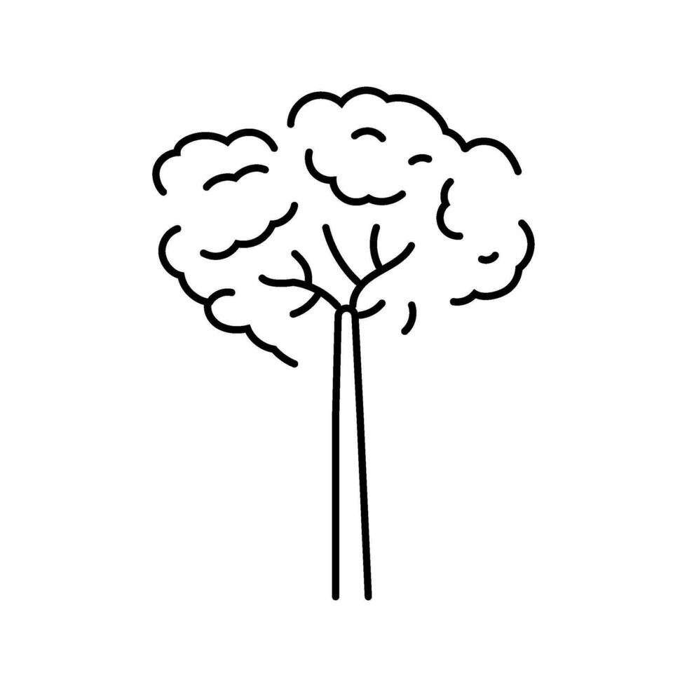 Brasilien nöt träd linje ikon vektor illustration