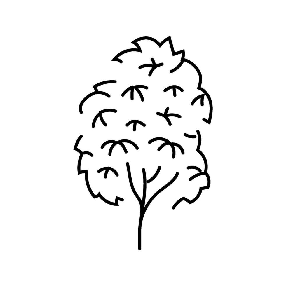 Kauri Baum Urwald Amazonas Linie Symbol Vektor Illustration