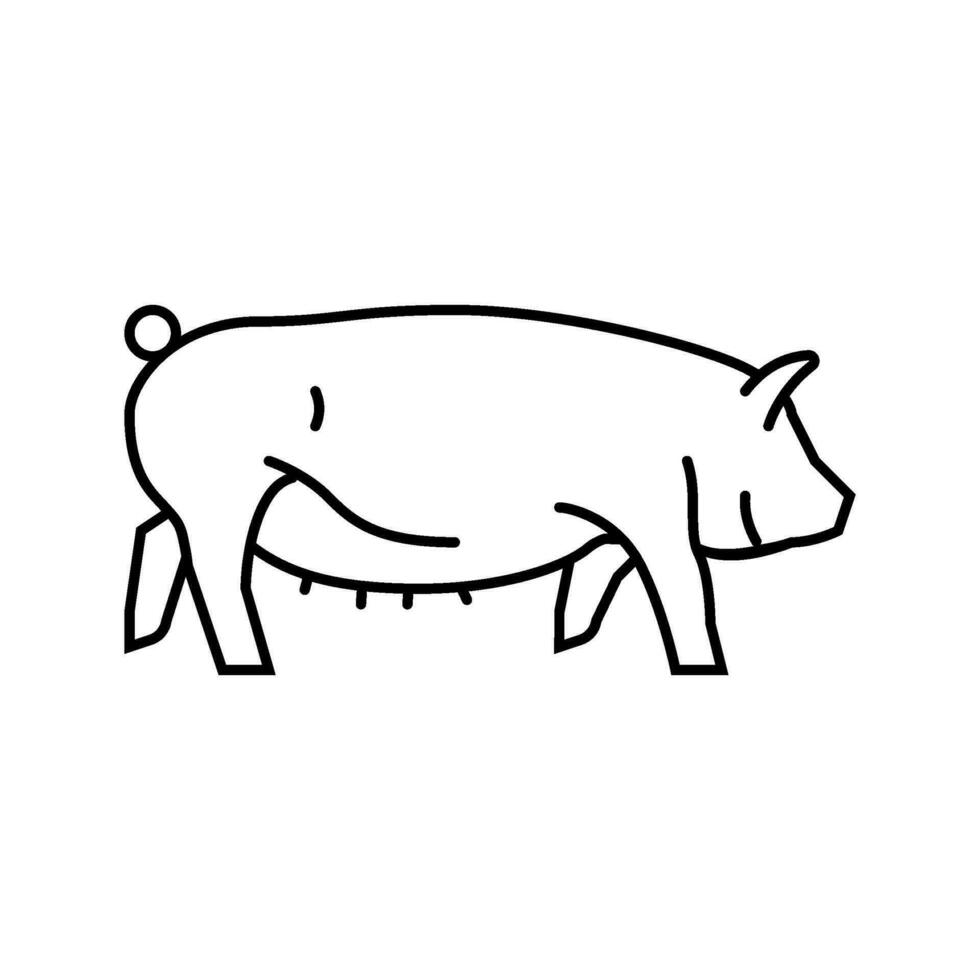 Yorkshire Schwein Rasse Linie Symbol Vektor Illustration