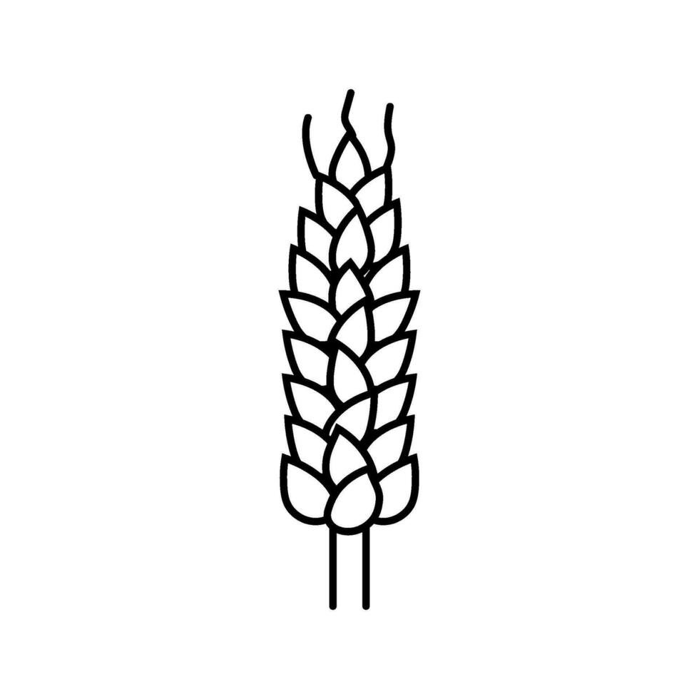 Ährchen Gelb Weizen Linie Symbol Vektor Illustration