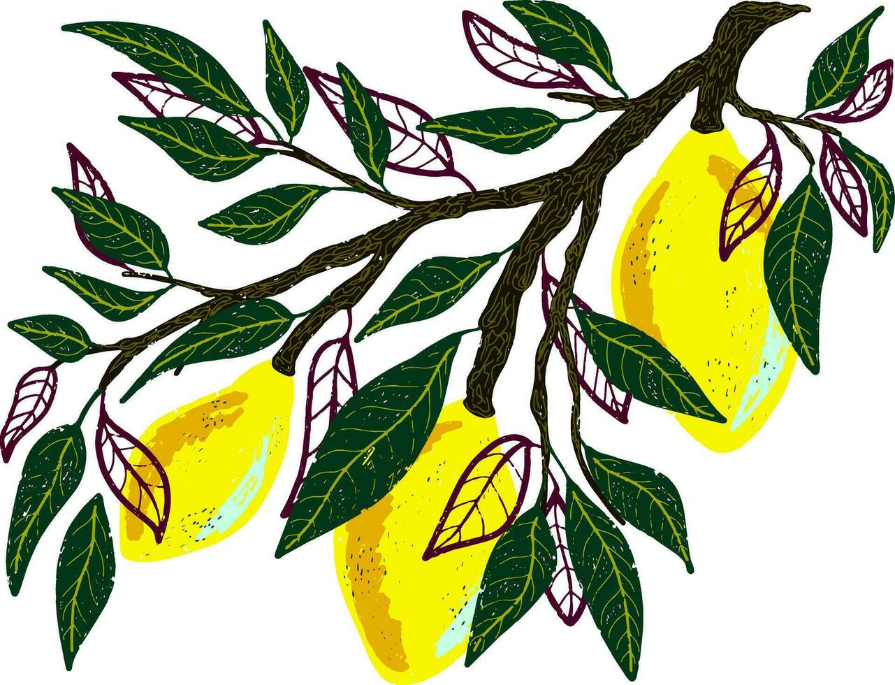 en teckning av en citron- träd med löv och frukt vektor
