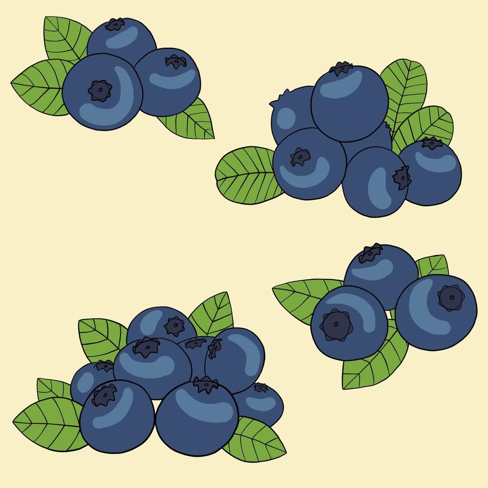 Gekritzel-Freihand-Skizze-Zeichnung der Blaubeer-Fruchtsammlung. vektor