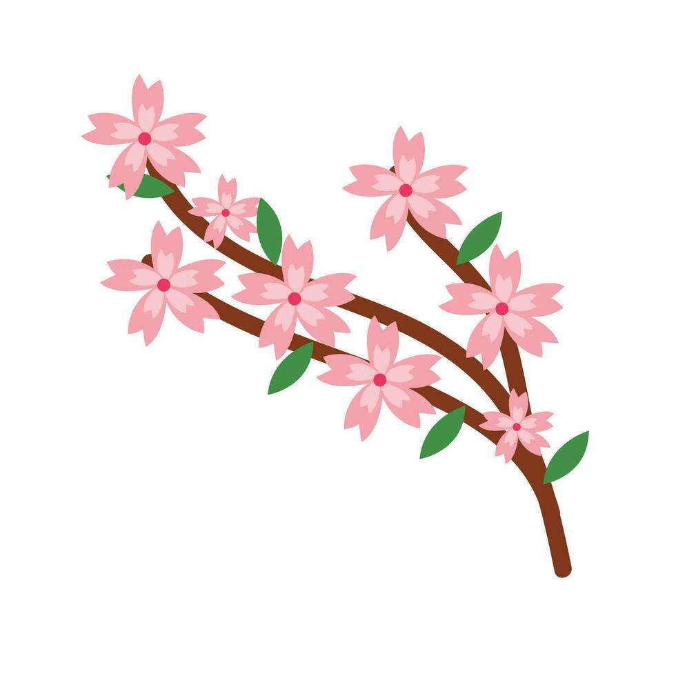 vektor japansk körsbär blomma vektor grafisk